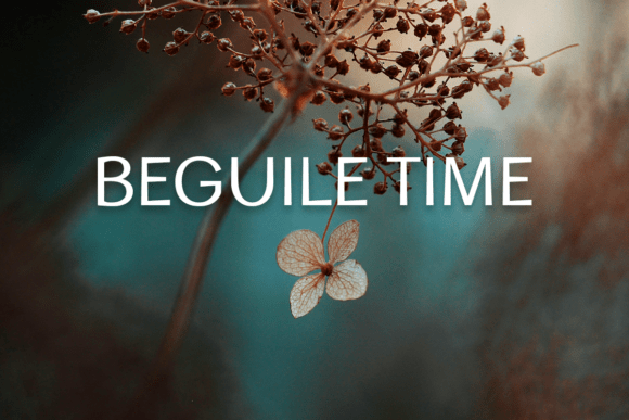 Beguile Time: A Font for Clear Campaigns