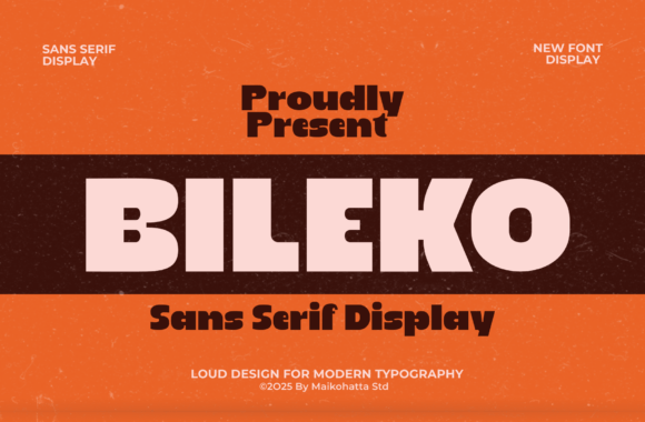 Bileko: A Bold Display Font for Designers