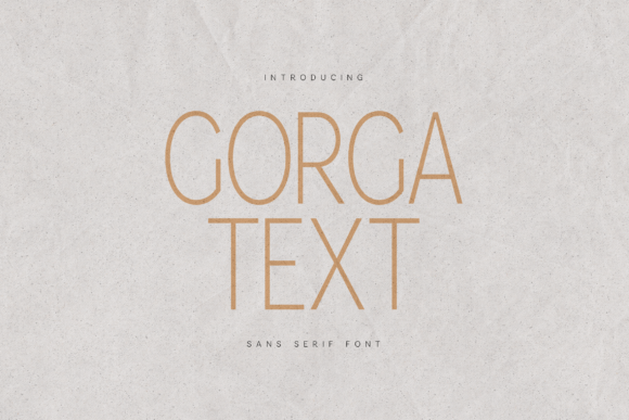 Gorga Text: A Font for Digital Designers