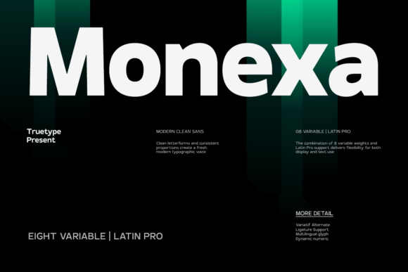 TRT Monexa: A Font for Polished Business
